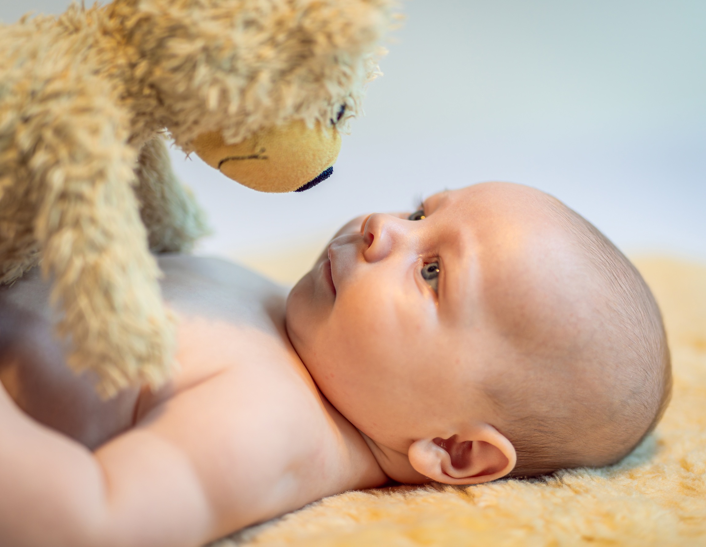 Baby Portrait
